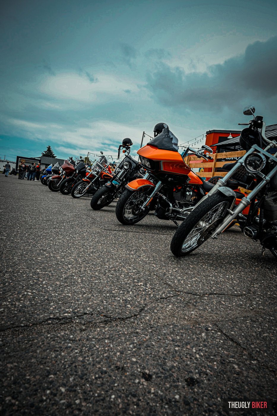 Row of Harley-Davidsons at a rally